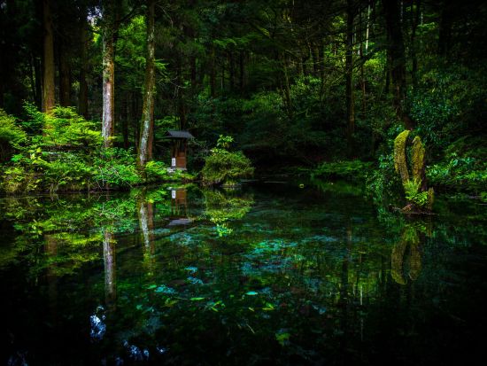 【熊本空港発／湯布院着】貸切観光タクシー　火の山・九重・湯布院コース 草千里＋阿蘇山火口＋池山水源＋九重"夢"大吊橋 ＜約6時間＞ by 阿蘇観光タクシー