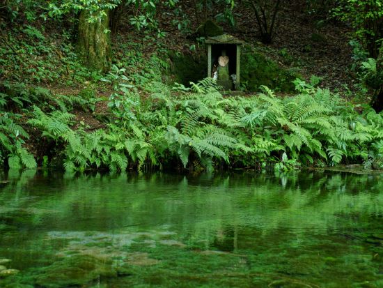 【熊本市内発／南阿蘇着】貸切観光タクシー　高森・南阿蘇満喫＆パワースポットめぐり　上色見熊野座神社や高森湧水トンネルへ＜約5.5時間～＞by 阿蘇観光タクシー