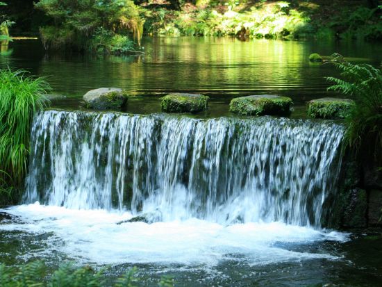 【熊本市内発／南阿蘇着】貸切観光タクシー　高森・南阿蘇満喫＆パワースポットめぐり　上色見熊野座神社や高森湧水トンネルへ＜約5.5時間～＞by 阿蘇観光タクシー