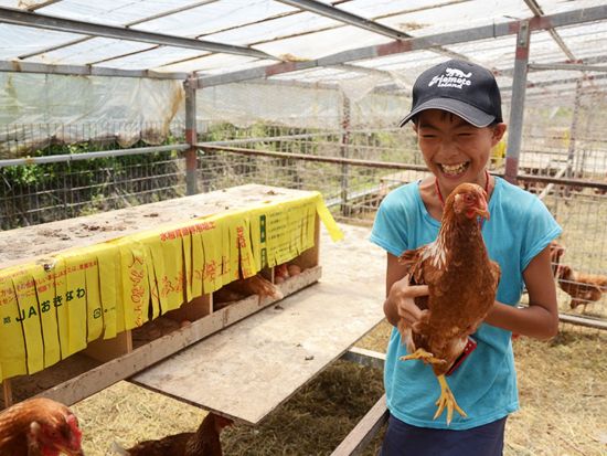 マングローブカヤック＋アーラの滝トレッキング　1日1組限定の貸切ツアー！農場体験＆野菜収穫体験も＜昼食付／写真プレゼント／上原港・西部地区（上原港側）無料送迎＞
