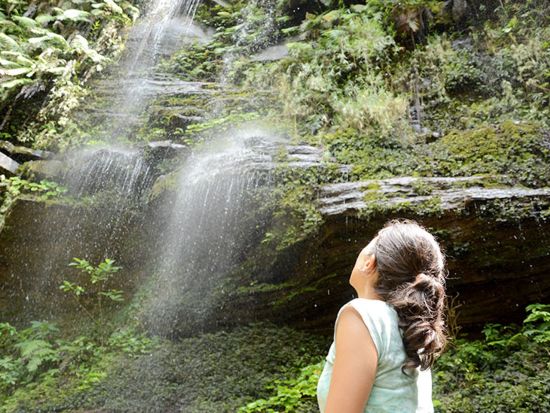 マングローブカヤック＋アーラの滝トレッキング　1日1組限定の貸切ツアー！農場体験＆野菜収穫体験も＜昼食付／写真プレゼント／上原港・西部地区（上原港側）無料送迎＞