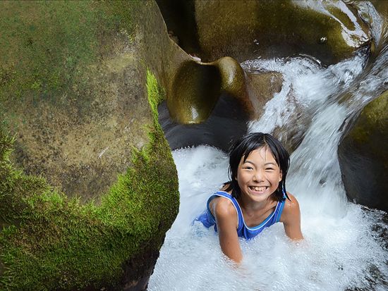 マングローブカヌー＋モダマ池ピクニック　ガイド付きで安心！お子様も参加しやすいプライベートツアー＜昼食付／写真プレゼント／上原港・西部地区（上原港側）無料送迎＞