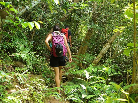 マングローブカヌー＋モダマ池ピクニック　ガイド付きで安心！お子様も参加しやすいプライベートツアー＜昼食付／写真プレゼント／上原港・西部地区（上原港側）無料送迎＞