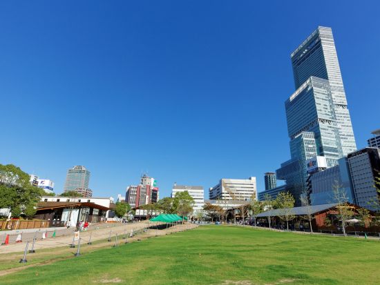 【歩こう！大阪】大阪ウォーキングツアー 日本最古の寺院「四天王寺」と超近代エリア「あべのハルカス」を巡る歴史歩き＜約3時間／午前／南海なんば駅発＞