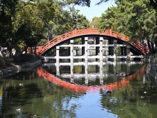 【歩こう！大阪】大阪ウォーキングツアー 住吉大社+ちんちん電車乗車＋通天閣などの名所巡り＜約3時間／午前／南海なんば駅発＞