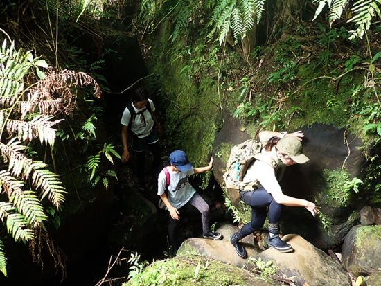 マヤグスクの滝トレッキングツアー　定期ボート・早朝チャーターボート・カヤックから選択可＜1～5月／貸切／昼食付／写真プレゼント／西部地区（上原港側）無料送迎＞