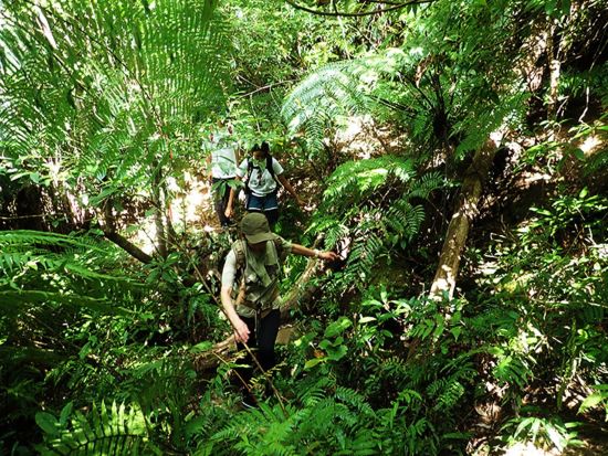 マヤグスクの滝トレッキングツアー　定期ボート・早朝チャーターボート・カヤックから選択可＜1～5月／貸切／昼食付／写真プレゼント／西部地区（上原港側）無料送迎＞