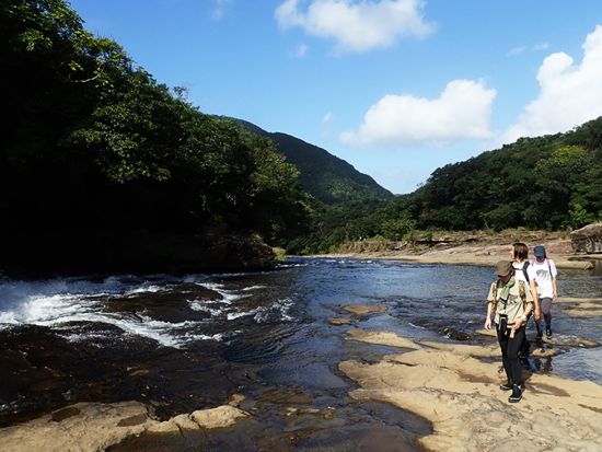 マヤグスクの滝トレッキングツアー　定期ボート・早朝チャーターボート・カヤックから選択可＜1～5月／貸切／昼食付／写真プレゼント／西部地区（上原港側）無料送迎＞
