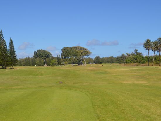 タートルベイ・ゴルフクラブ（パーマーコース）　ゴルフ場予約 ＜送迎付き＞