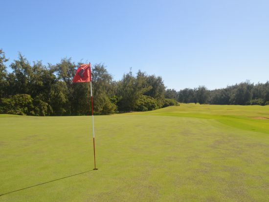 タートルベイ・ゴルフクラブ（パーマーコース）　ゴルフ場予約 ＜送迎付き＞