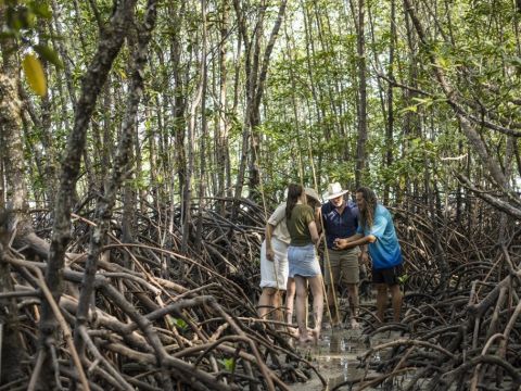 アボリジナル文化体験ツアー　伝統的な釣り体験と干潟散策orアート体験と熱帯雨林散策 ＜昼食付き／英語ガイド＞