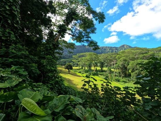ロイヤルハワイアン・ゴルフクラブ　ゴルフ場予約 ＜送迎付き＞
