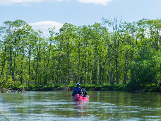 釧路湿原カヌー