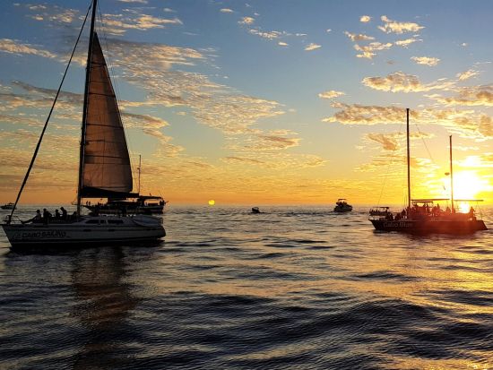 ロス・カボスのサンセットクルーズ＋テキーラ試飲＋タコスディナー＜夕方発／英語／送迎付き／ロス・カボス発＞