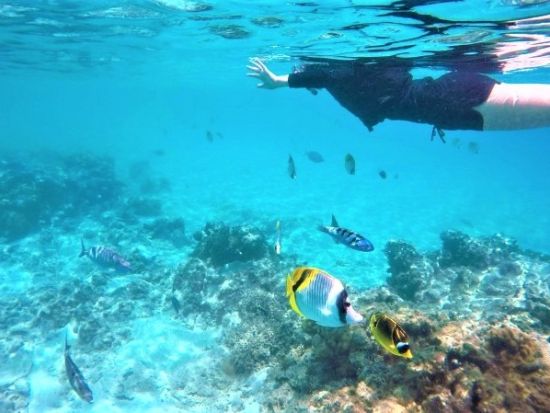 チャータークルーザーで行く！慶良間諸島 渡嘉敷島上陸 阿波連ビーチ or とかしくビーチ♪2つのビーチを楽しめる海がめシュノーケルツアーあり＜ランチ付／那覇発＞