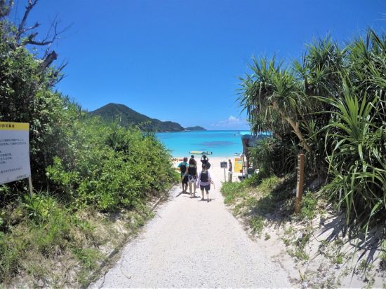 チャータークルーザーで行く！慶良間諸島 渡嘉敷島上陸 阿波連ビーチ or とかしくビーチ♪2つのビーチを楽しめる海がめシュノーケルツアーあり＜ランチ付／那覇発＞