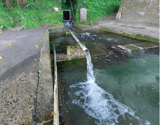 喜界島認定エコツアーガイド 外内（とのち）さんと行く！喜界島段丘と集落を楽しむE-バイクツアー 5つの集落とビューポイントを爽快サイクリング！＜半日＞