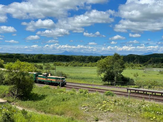 ギークより臨む釧路湿原 (1)