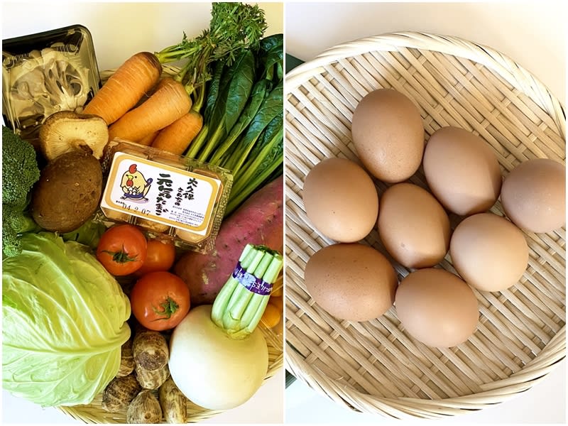 島根県益田市産 季節のお野菜6～8品＋平飼い卵10個 *送料込（一部