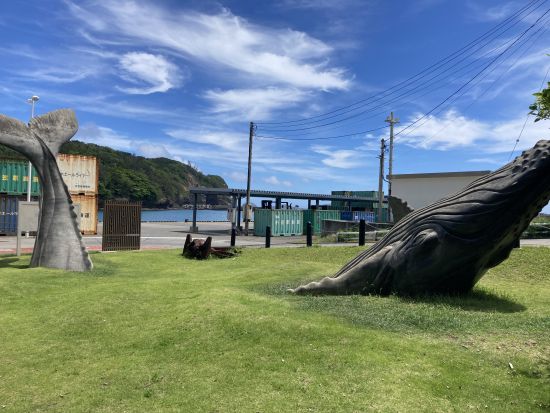 弾丸母島観光ツアー！小笠原諸島滞在の最終日におすすめプラン♪ 出発時間までの2時間弱で母島を満喫しよう＜2時間／父島からの日帰り参加OK／小笠原諸島・母島発＞