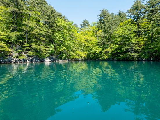 十和田湖 SUP体験　透明度抜群の湖水、移り変わる木々の色…。四季を満喫しながらのSUP体験 ＜7～10月／高校生以上参加可／十和田湖＞by4-Ride