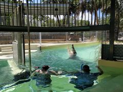 IMG_20211025_133649