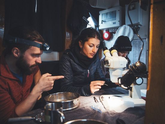 microscope-analysis-by-asa-steinars