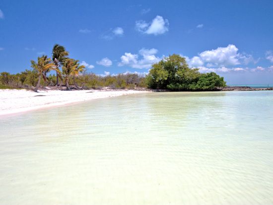 無人島イスラ・コントイ＆イスラ・ムへーレス 2島ツアー＜英語ガイド／朝食・昼食付／カンクン発＞