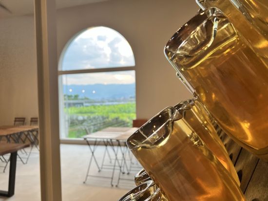 山梨　奥野田ワイナリー　ブドウ畑＆セラー見学ツアー　エコバッグ＆オリジナルポストカード付き！＜40分／試飲付／現地集合・解散／甲州市＞