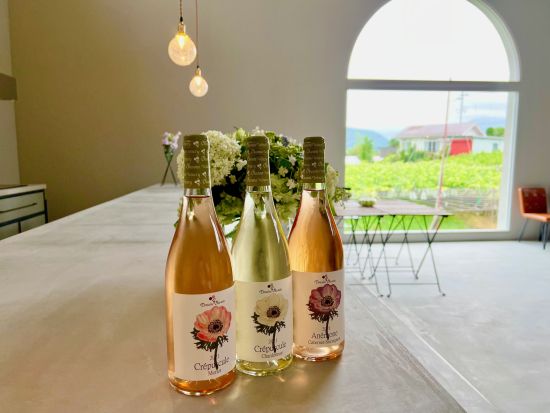 山梨　奥野田ワイナリー　ブドウ畑＆セラー見学ツアー　エコバッグ＆オリジナルポストカード付き！＜40分／試飲付／現地集合・解散／甲州市＞