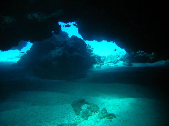 ファンダイビング ダイビング専用船で快適！ブランクダイバー向けプランあり！＜ボート／2ダイブ＞by ジェントリーブルー