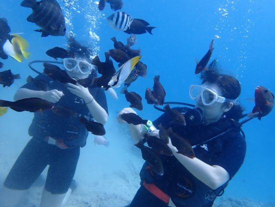 PADIオープンウォーターまたはスクーバダイバーライセンス取得コース＜1日～1.5日／日本語インストラクター＞by ジェントリーブルー