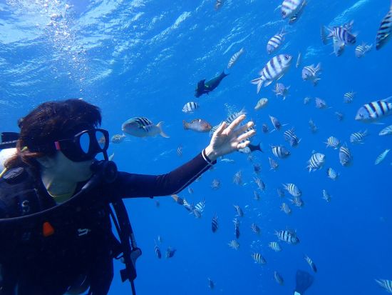 PADIオープンウォーターまたはスクーバダイバーライセンス取得コース＜1日～1.5日／日本語インストラクター＞by ジェントリーブルー