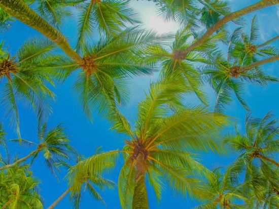 Singapore_Sentosa_pixta_73837419_M