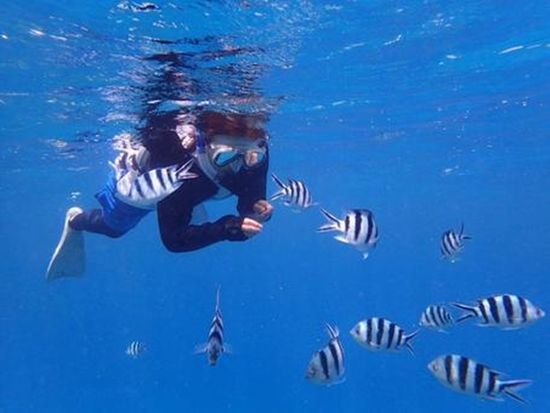 シュノーケリング3