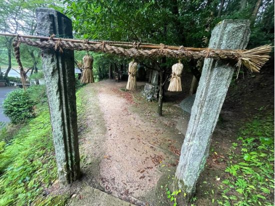 500年前から続く1年に1度の神事を見学！八百万の神々をお送りする 佐太神社「神送り」見学とイザナミゆかりの地巡り＜11月25日限定／1泊2日／松江駅＞