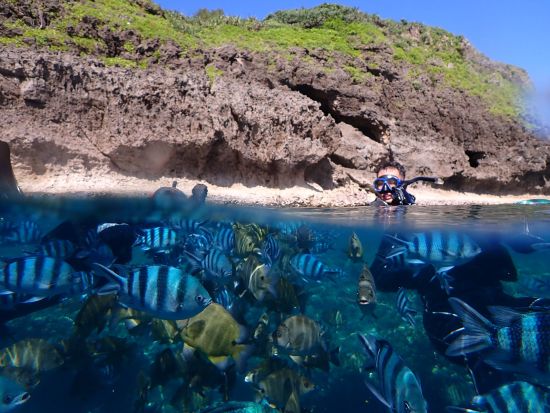 青の洞窟 シュノーケリング 神秘的な海の世界を探検！写真撮影無料&餌付け体験付き◎＜ビーチ／写真プレゼント／那覇市内ホテル送迎＞