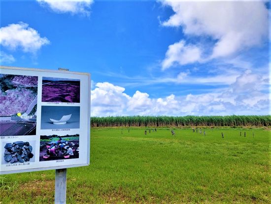 四面庇状掘立柱建物跡跡（城久遺跡）