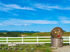 pixta_30741564_M