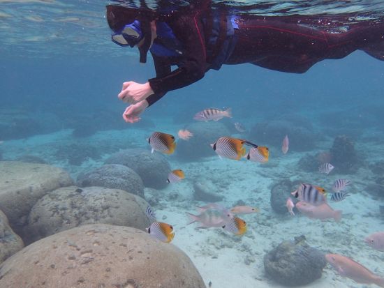 シュノーケリング体験 南国の魚たちと美しい海を満喫 写真撮影無料&餌付け体験付き◎＜6歳から参加OK／写真プレゼント／那覇市内無料送迎／糸満市＞