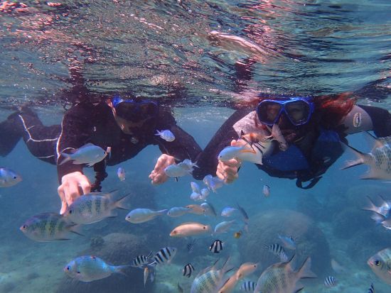 シュノーケリング体験 南国の魚たちと美しい海を満喫 写真撮影無料&餌付け体験付き◎＜6歳から参加OK／写真プレゼント／那覇市内無料送迎／糸満市＞
