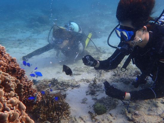 体験ダイビング　最大3名の少人数制で安心！餌付け体験付き＜ビーチ／1ダイブ／写真プレゼント／糸満市＞by OCEAN'S SEVEN