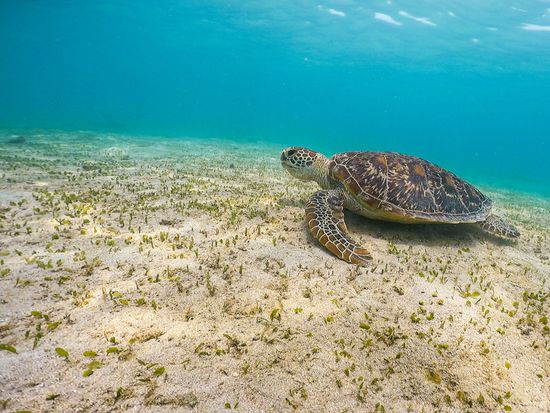 20220613-繧ｦ繝溘ぎ繝｡04