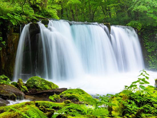奥入瀬渓流ウォーキングツアー　十和田八幡平国立公園内石ヶ戸～雲井の滝～銚子大滝～子ノ口 散策＜十和田市＞by4-Ride