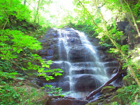 奥入瀬渓流ウォーキングツアー　十和田八幡平国立公園内石ヶ戸～雲井の滝～銚子大滝～子ノ口 散策＜十和田市＞by4-Ride