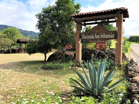 ハリスコの魔法の村 サン・セバスチャン・デル・オエステ市内散策＋テキーラ&コーヒー農園見学ツアー＜英語／昼食付／テキーラ試飲付／送迎付／プエルト・バジャルタ発＞