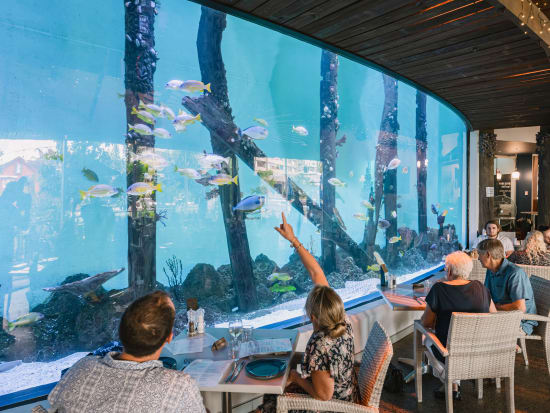 ケアンズ水族館入場チケット　グレートバリアリーフの海を再現した水族館へお得に入場！＜ウミガメ病院ツアー付きプランあり＞