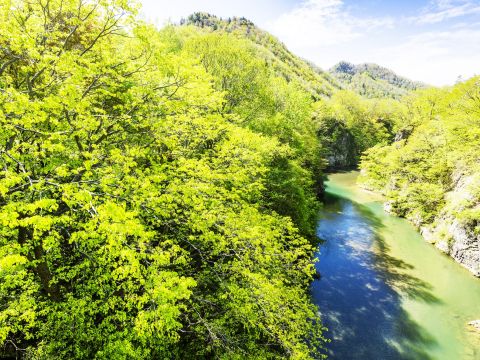 定山渓 豊平川SUPツアー のんびり水上散歩♪ボードに立ったり座ったりしながら景色を満喫！＜5～11月／6歳以上参加可／送迎あり／札幌市定山渓＞