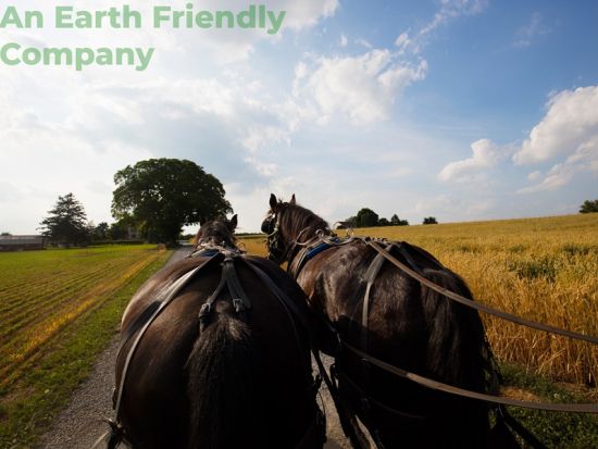 フィラデルフィア＆アーミッシュ村　日帰り観光ツアー ＜1名から催行／日本語アシスタント／環境保全への寄付＞