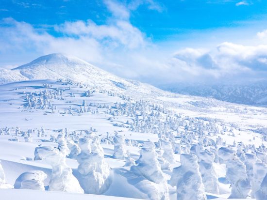 貸切観光タクシー 日本百名山に選ばれた八甲田山へ！初夏の新緑、秋の紅葉も見事♪5時間半コース＜1～9名／通年／八戸市内発青森市内お送り＞